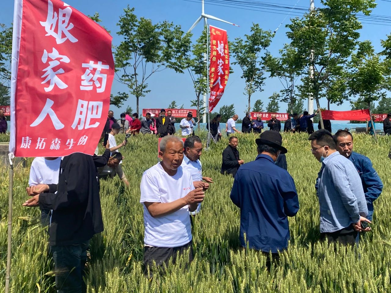 正版资料与内部资料