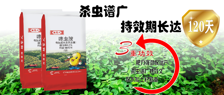 正版资料与内部资料