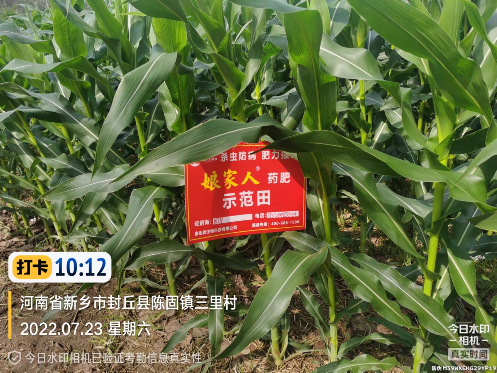 正版资料与内部资料